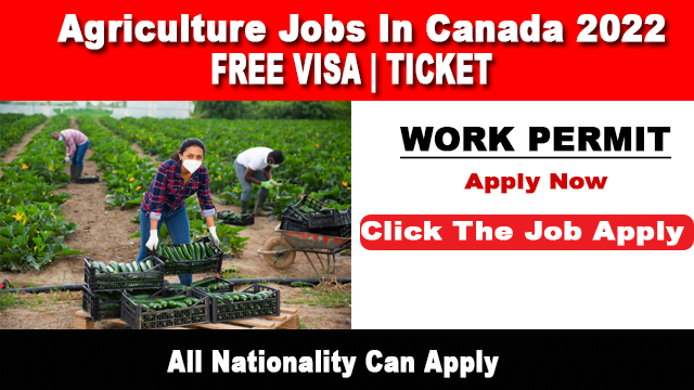 Agriculture Jobs In Canada For Foreigners 2022 Apply Now