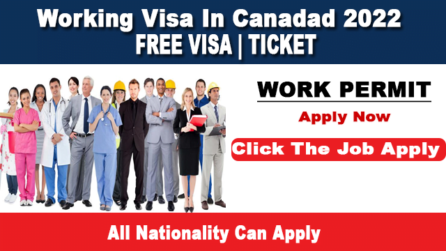 Working Visa In Canada for foreigners 2022 Apply Now